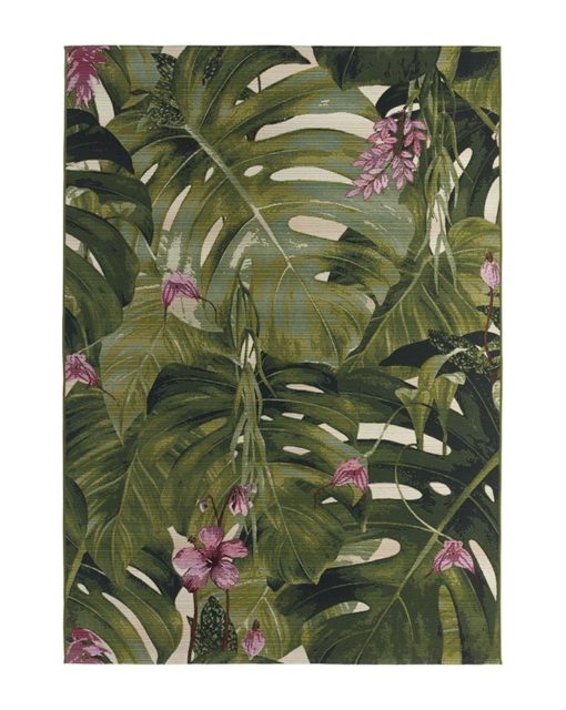 AMAZZONIA 33X