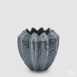 Vase Coquillage