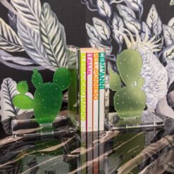 Serre livres - Cactus