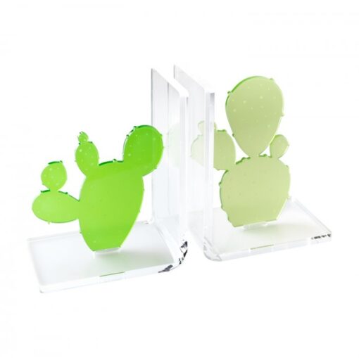 Serre livres - Cactus