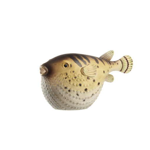 Poisson Décoratif – Image 5