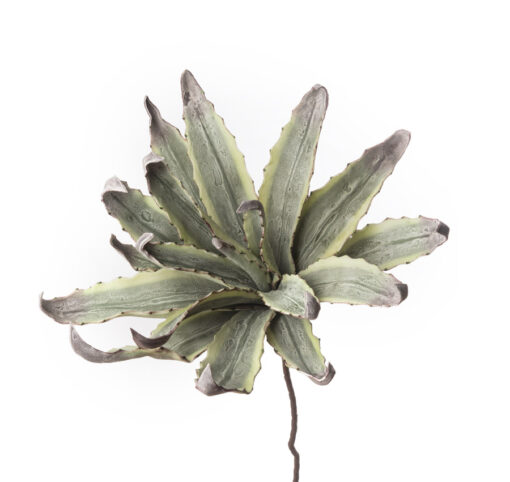 Fleurs artificielles - Agave
