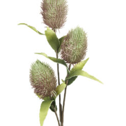 Fleurs artificielles - Protea Nitida