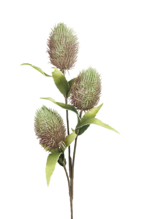Fleurs artificielles - Protea Nitida