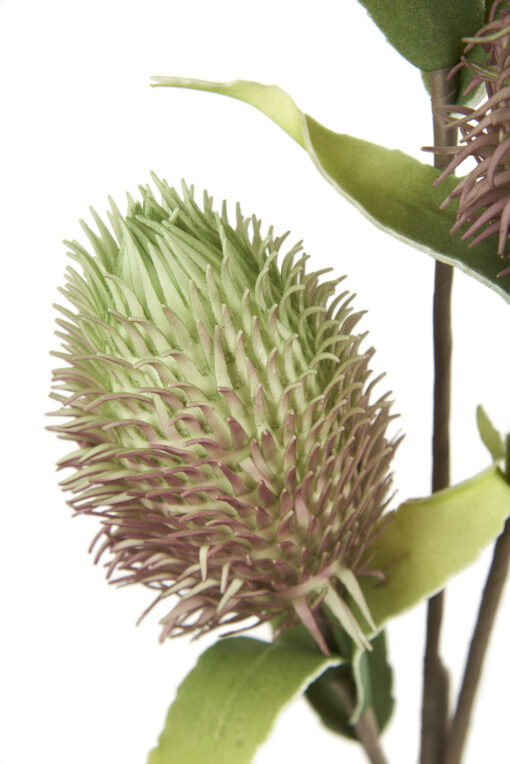 Fleurs artificielles - Protea Nitida – Image 3