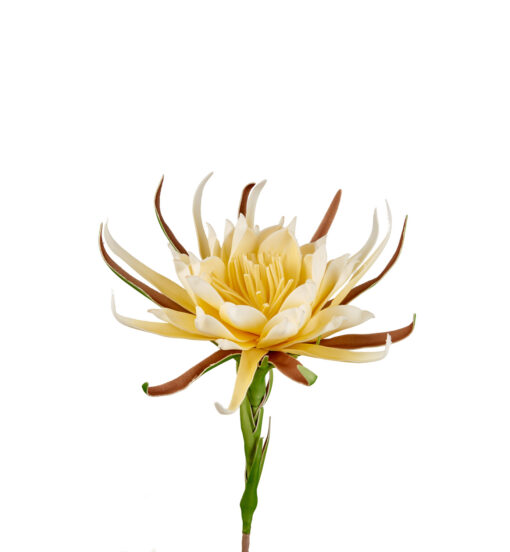Fleurs artificielles - Queen of the night