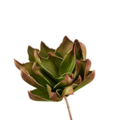 Fleurs artificielles - Shaw's agave