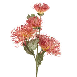 Fleurs artificielles - Telopea