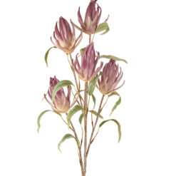 Fleurs artificielles - Phologacantus
