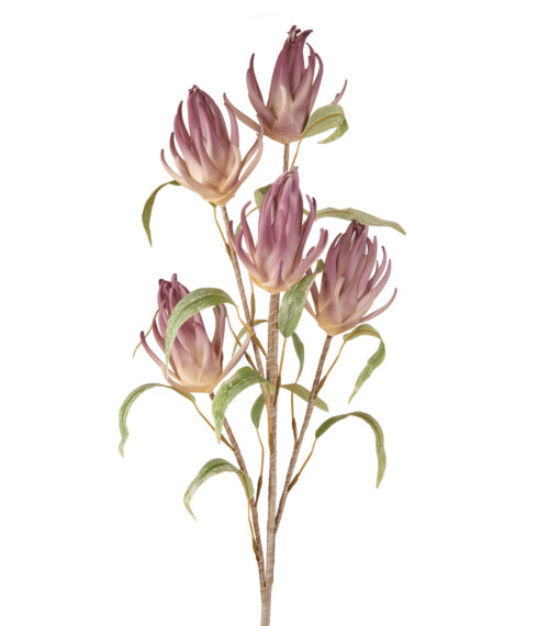 Fleurs artificielles - Phologacantus
