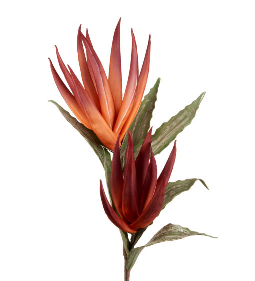 Fleurs artificielles - Agave Rouge