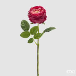 Branche de rose