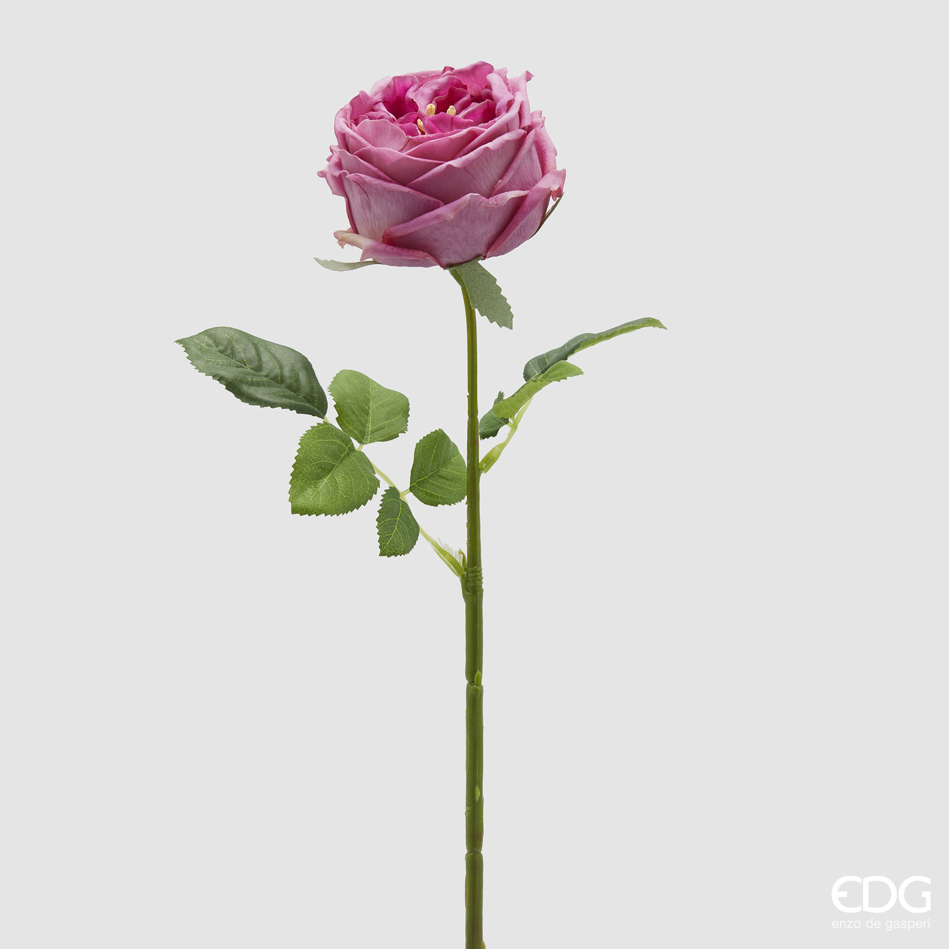 Branche de rose – Image 3