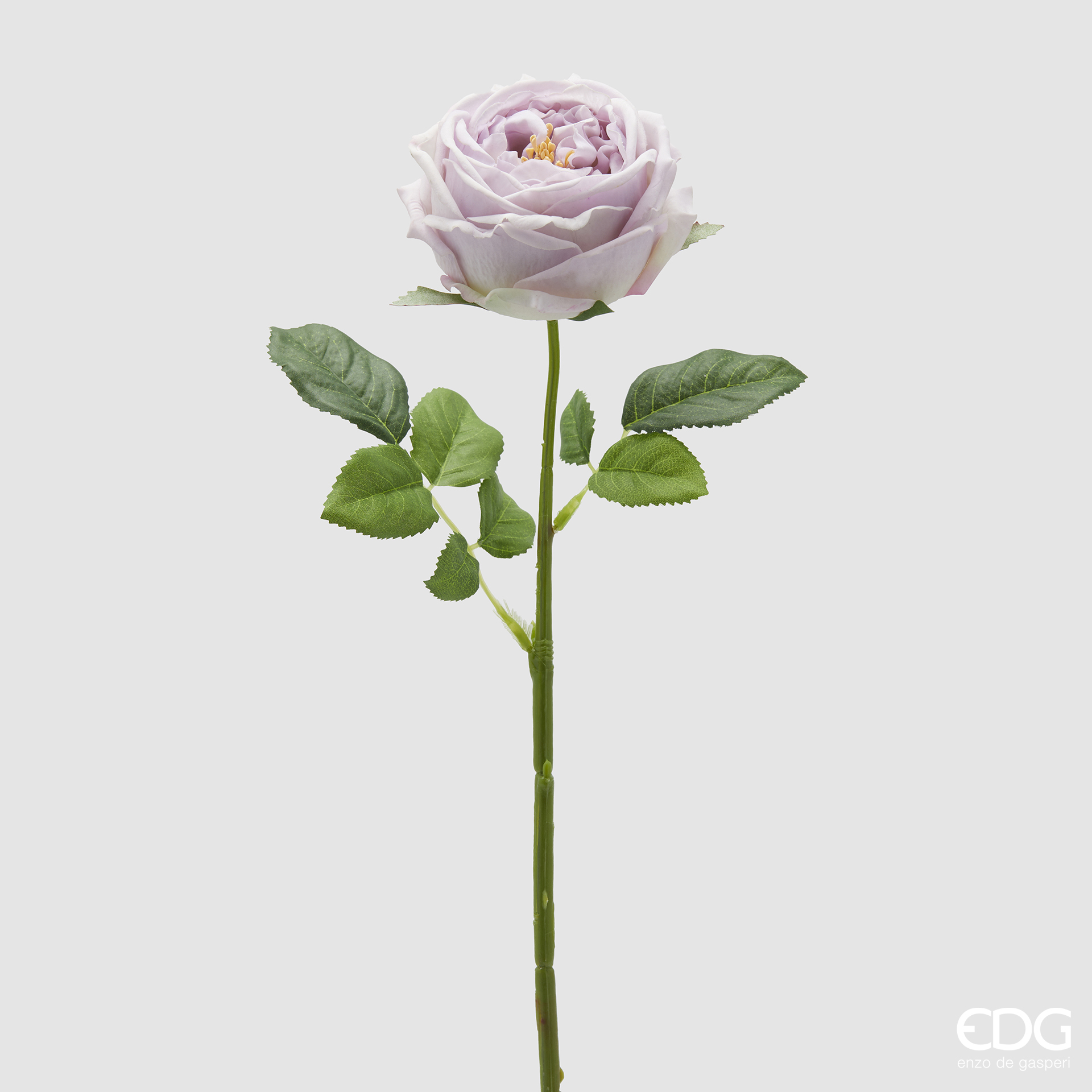 Branche de rose – Image 2