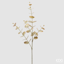 Branche d'eucalyptus