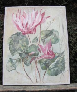 Fleurs roses